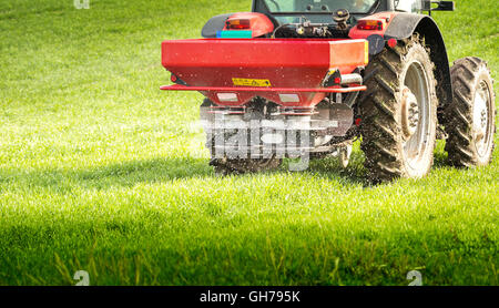 Traktor Düngung im Weizenfeld Stockfoto