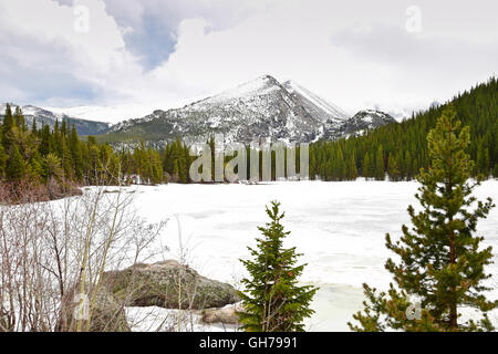 Bear Lake in den Rocky Mountains, Colorado, USA Stockfoto