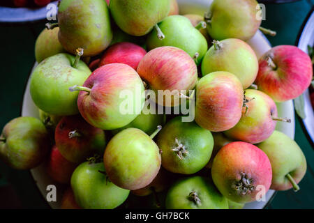 Natürliche Eco grün-rote Äpfel in der Schüssel Stockfoto