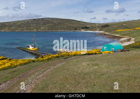 Der Pier und die Anlegestelle in der Siedlung West Point in den Falkland-Inseln Stockfoto