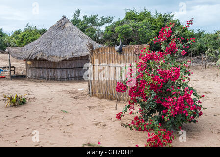 Dorf-Hütte auf Benguerra Insel in Mosambik Stockfoto