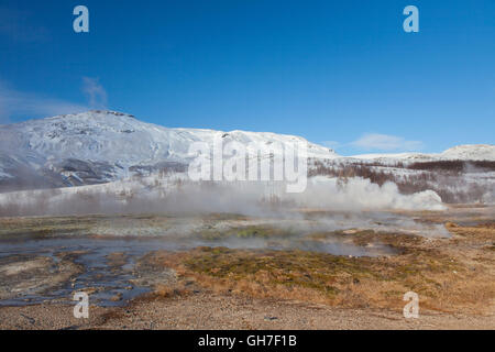 Geothermische Gebiet der Geysir im Haukadalur Tal, Sudurland, Island Stockfoto