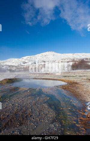 Geothermische Gebiet der Geysir im Haukadalur Tal, Sudurland, Island Stockfoto