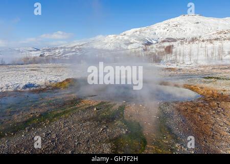 Geothermische Gebiet der Geysir im Haukadalur Tal, Sudurland, Island Stockfoto