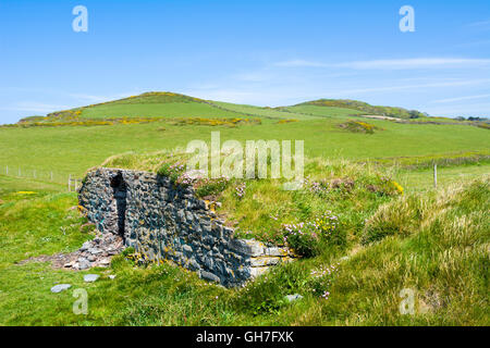 Eine alte Kalkofen an der Küste bei Cornborough Cliff, Abbotsham in der Nähe von Westward Ho!, North Devon. Stockfoto