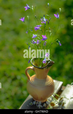 Home-Blumen, Dekoration, Sommer, Stockfoto