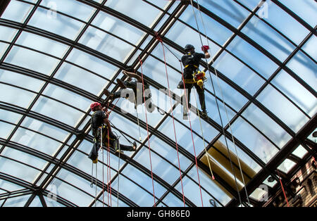 Rostock, Deutschland. 9. August 2016. Industriekletterer aus dem Unternehmen spezielle Rope Access reinigen das Glasdach im Ständehaus in Rostock, Deutschland, 9. August 2016. Die offizielle Residenz der höhere regionale Gericht (OLG) des Landes Mecklenburg-Vorpommern wurde zwischen 1889 und 1893 erbaut und vor einigen Jahren aufwändig restauriert. Das Glasdach des neugotischen Gebäudes Hertiage geschützt ist jetzt innen und draußen von der Firma Spezialität zum ersten Mal gereinigt worden. Foto: JENS Büttner/Dpa/Alamy Live News Stockfoto