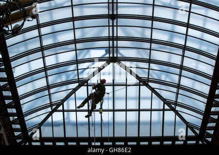 Rostock, Deutschland. 9. August 2016. Industriekletterer Andre Erdmann, Geschäftsführer der Firma Special Rope Access, reinigt das Glasdach im Ständehaus in Rostock, Deutschland, 9. August 2016. Die offizielle Residenz der höhere regionale Gericht (OLG) des Landes Mecklenburg-Vorpommern wurde zwischen 1889 und 1893 erbaut und vor einigen Jahren aufwändig restauriert. Das Glasdach des neugotischen Gebäudes Hertiage geschützt ist jetzt innen und draußen von der Firma Spezialität zum ersten Mal gereinigt worden. Foto: JENS Büttner/Dpa/Alamy Live News Stockfoto