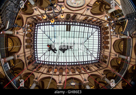 Rostock, Deutschland. 9. August 2016. Industriekletterer aus dem Unternehmen spezielle Rope Access reinigen das Glasdach im Ständehaus in Rostock, Deutschland, 9. August 2016. Die offizielle Residenz der höhere regionale Gericht (OLG) des Landes Mecklenburg-Vorpommern wurde zwischen 1889 und 1893 erbaut und vor einigen Jahren aufwändig restauriert. Das Glasdach des neugotischen Gebäudes Hertiage geschützt ist jetzt innen und draußen von der Firma Spezialität zum ersten Mal gereinigt worden. Foto: JENS Büttner/Dpa/Alamy Live News Stockfoto