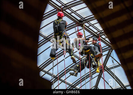 Rostock, Deutschland. 9. August 2016. Industriekletterer aus dem Unternehmen spezielle Rope Access reinigen das Glasdach im Ständehaus in Rostock, Deutschland, 9. August 2016. Die offizielle Residenz der höhere regionale Gericht (OLG) des Landes Mecklenburg-Vorpommern wurde zwischen 1889 und 1893 erbaut und vor einigen Jahren aufwändig restauriert. Das Glasdach des neugotischen Gebäudes Hertiage geschützt ist jetzt innen und draußen von der Firma Spezialität zum ersten Mal gereinigt worden. Foto: JENS Büttner/Dpa/Alamy Live News Stockfoto