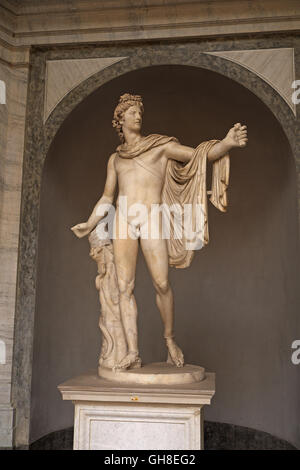 "Apoll von Belvedere", Museo Pio-Clementino, Vatikanische Museen, Vatikanstadt, Rom, Italien. Stockfoto