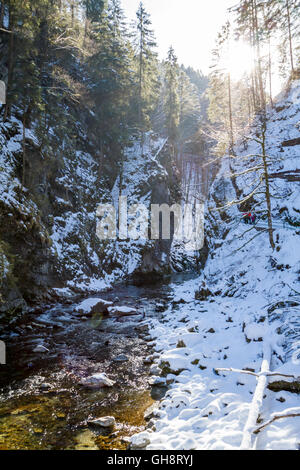 Breitachklamm Im Winter Stockfoto