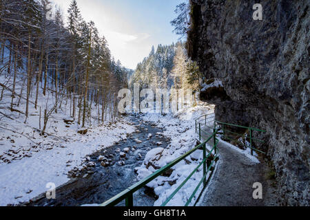 Breitachklamm Im Winter Stockfoto