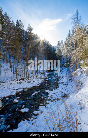 Breitachklamm Im Winter Stockfoto