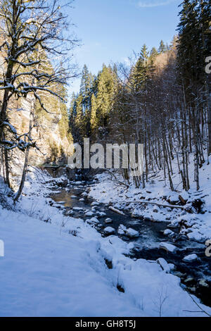 Breitachklamm Im Winter Stockfoto