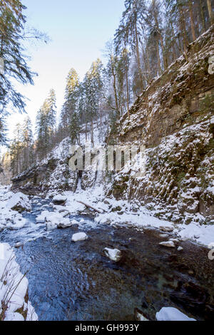 Breitachklamm Im Winter Stockfoto