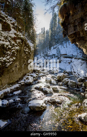 Breitachklamm Im Winter Stockfoto