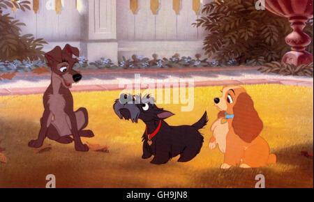 SUSI UND STROLCH Lady und der Tramp USA 1955 Clyde Helen, Wilfred Jackson Walt Disney: Susi und Strolch Film, Fernsehen, Zeichentrick, Animation, 50er Regie: Helen Clyde, Wilfred Jackson aka. Susi und Strolch Stockfoto