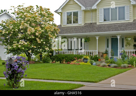 Vorgarten des Hauses mit Syringa Reticulata "Ivory Silk", Baum Flieder und Clematis Durandii auf mailbox Stockfoto