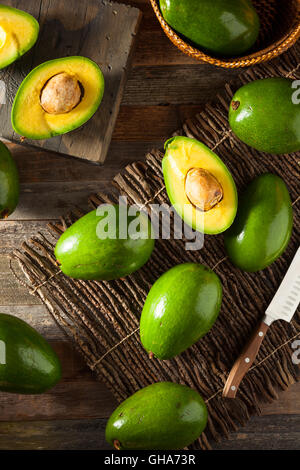Rohe grüne Bio-Florida Avocados essfertig Stockfoto