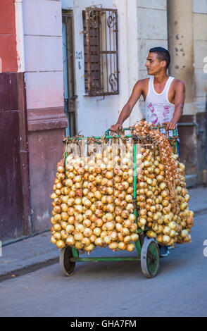 Eine kubanische Zwiebel Verkäufer in Alt-Havanna-Straße Stockfoto