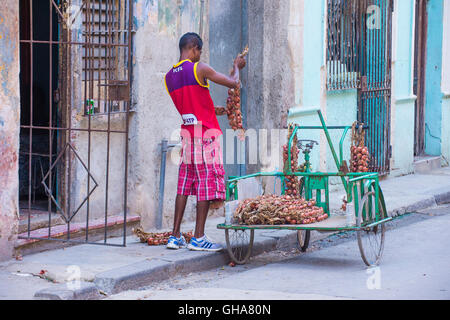 Eine kubanische Zwiebel Verkäufer in Alt-Havanna-Straße Stockfoto