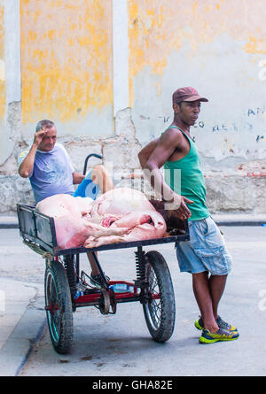 Eine kubanische Rikscha-Fahrer in Alt-Havanna-Straße Stockfoto