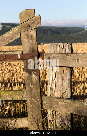 alten Zaun und Tor in der Nähe von Dunsford, Dartmoor Nationalpark, Holz, Holzwerkstoffen, Tor, Pol, outdoor, Wiese, Landwirtschaft, grün, Wes Stockfoto