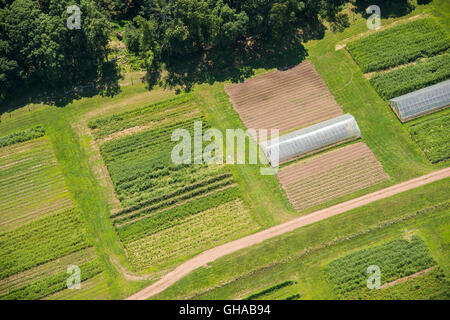 Luftaufnahme der Farm & Gewächshäuser Stockfoto