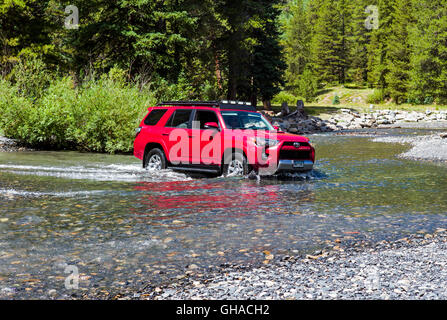 Rot 2014 Toyota 4Runner Trail Premium auf grob vier Rad Antrieb 4WD Straße, Kreuzung Schiefer Fluss Crested Butte, Colorado, USA Stockfoto