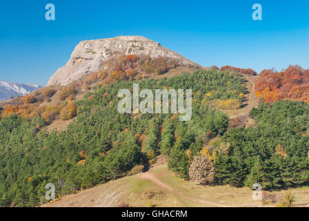 Herbst auf der Mann Waldwiese, Alm Demerdzhi, Krim, Ukraine Stockfoto