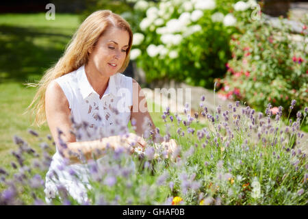 Frau trimmen Blumen im freien Stockfoto