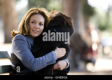 MUSS Liebe Hunde USA 2005 Gary David Goldberg Sarah (DIANE LANE) mit Hund. Komödie-Regie: Gary David Goldberg Stockfoto