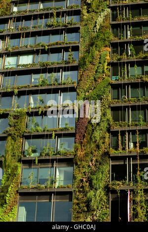 Vertikalen Garten auf Sydney High Rise am Green Square Stockfoto