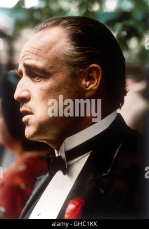 DER PATE der Paten USA 1972 Francis Ford Coppola MARLON BRANDO (Don Vito Corleone) Regie: Francis Ford Coppola aka. Der Pate Stockfoto