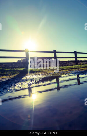 Die tiefstehende Sonne reflektiert eine Lache des Wassers vor einem Holzzaun Stockfoto