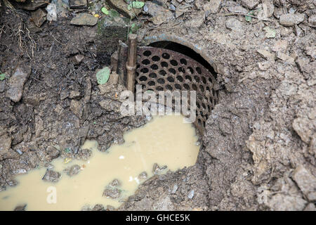 ein Tunnel mit einem Stream oder open-Drain unter einer Straße oder railway.channel, Kabelkanal, Wasserlauf, Trog; Abfluss, Dachrinne, Stockfoto