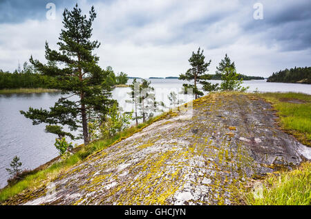 Ladoga Seenlandschaft. Pinien und grünen Rasen wachsen auf Küstenfelsen unter dunklem Wolkenhimmel Stockfoto