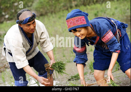 FEARLESS Huo Yuan Jia Hong Kong/USA 2006 Ronny Yu Moon (SUN LI) Erklärt Huo Yuanjia (JET LI) Wie Man Richtig Pflanzt. Regie: Ronny Yu aka. Huo Yuan Jia Stockfoto