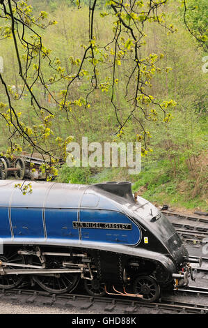 Erhaltene Klasse A4 Pacific Dampf Lok "Sir Nigel Gresley" in Grosmont vergossen. Stockfoto