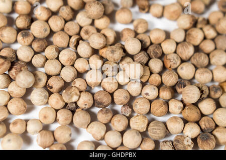 Weißer Pfeffer, Pfeffer - Gewürz, Hitze - Temperatur, Essen Stockfoto