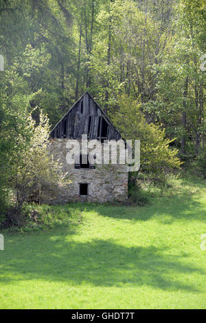 Zerstörte oder verlassenen Stein & Holz Almhütte im Wald in der Nähe Colmars-Les-Alpes französische Alpen Frankreich Stockfoto