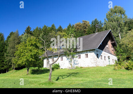 Klaffer bin Hochficht: Bauernhof und Böhmerwald, Österreich, Oberösterreich, Oberösterreich, Mühlviertel Stockfoto