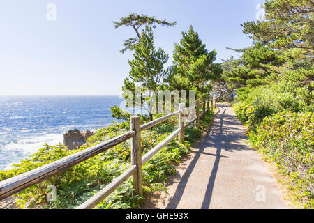 Cape Arago auf der Central Oregon Coast mit Blick auf Sonnenuntergang State Park und der Umpqua River Lighthouse und massive Landzungen. N Stockfoto