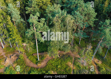 Luftaufnahme von Lookout U Jakuba in Wald. Draufsicht der berühmten touristischen Ort mit Wanderwegen. Stockfoto