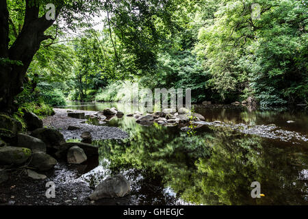 Felsen im Fluss Mandel, Livingston, West Lothian, Schottland Stockfoto