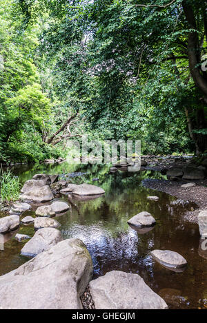 Felsen im Fluss Mandel, Livingston, West Lothian, Schottland Stockfoto