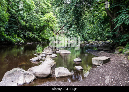 Felsen im Fluss Mandel, Livingston, West Lothian, Schottland Stockfoto