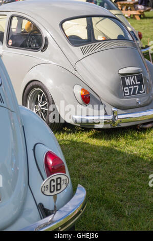 VW Käfer an Tatton Park Cheshire Stockfoto