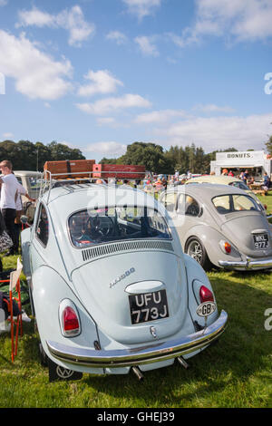 VW Käfer an Tatton Park Cheshire Stockfoto